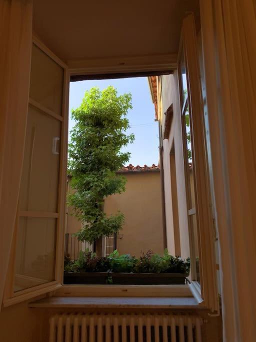 Via Nuova Apartments Lucques Extérieur photo